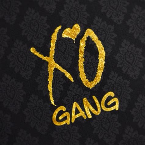 xogang|More.